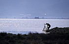 Fisherman Ebro delta