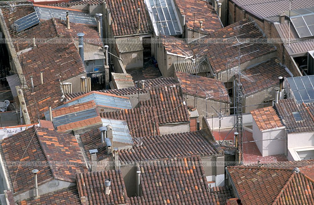 Roofscape Lleida