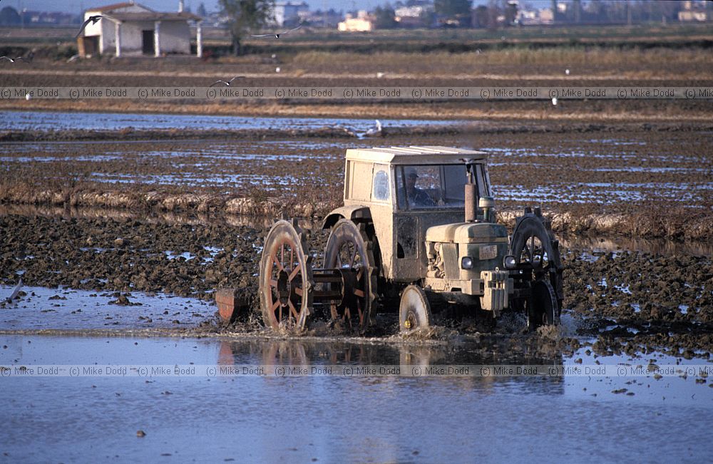 Tractor planting rice in flooded field Ebro delta