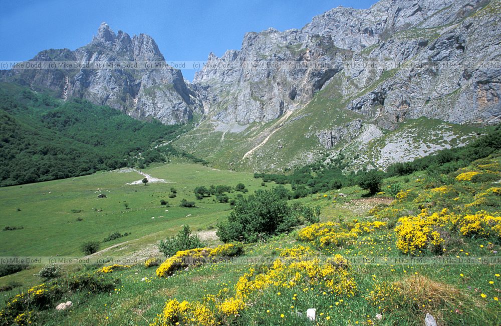 Fuente De bottom of limestone escarpment Picos de Europa