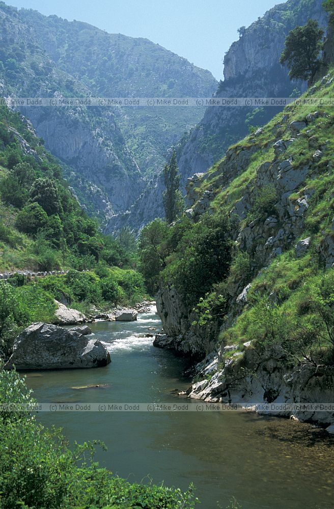 La Hermida gorge Picos de Europa