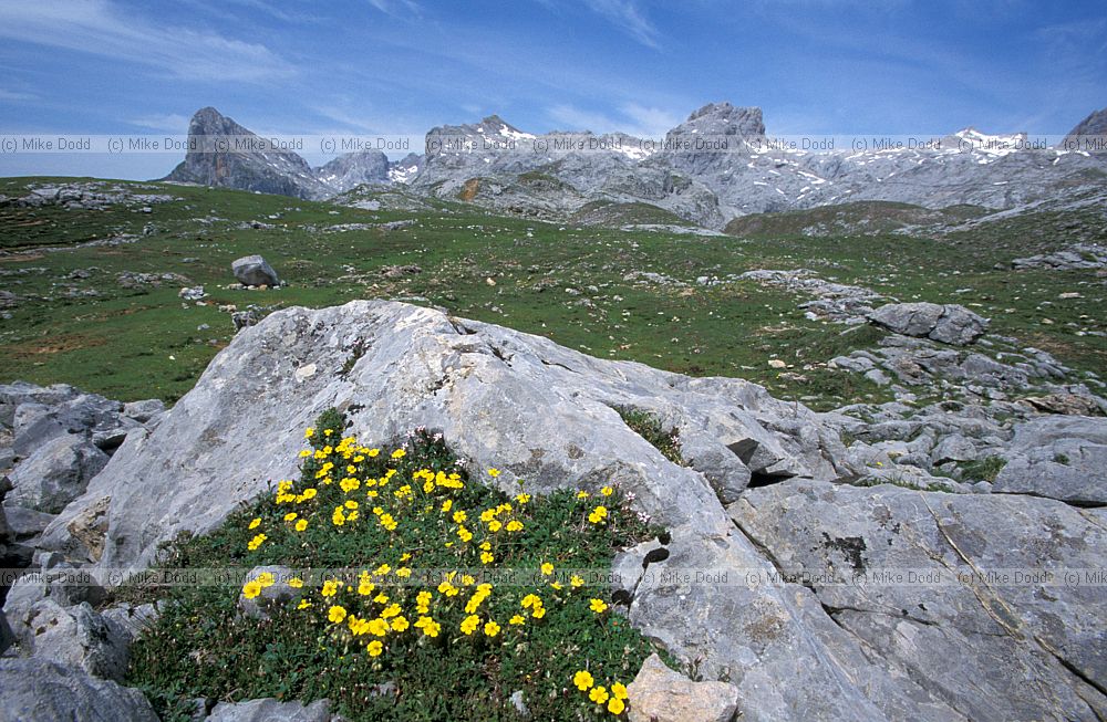 Limestone scenery top of Fuente De Picos de Europa