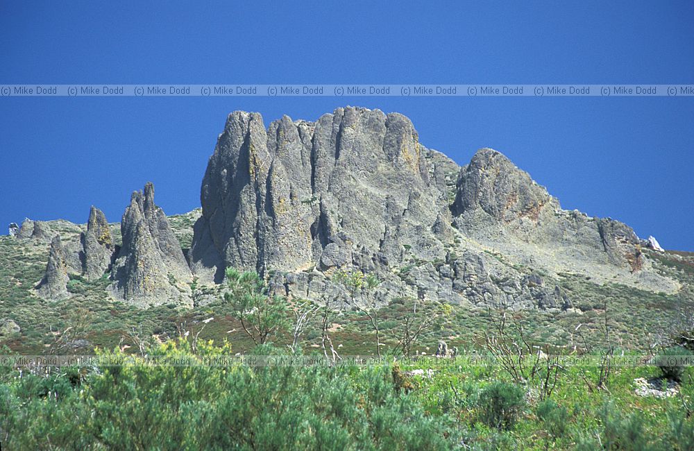 Near San Glorio Picos de Europa