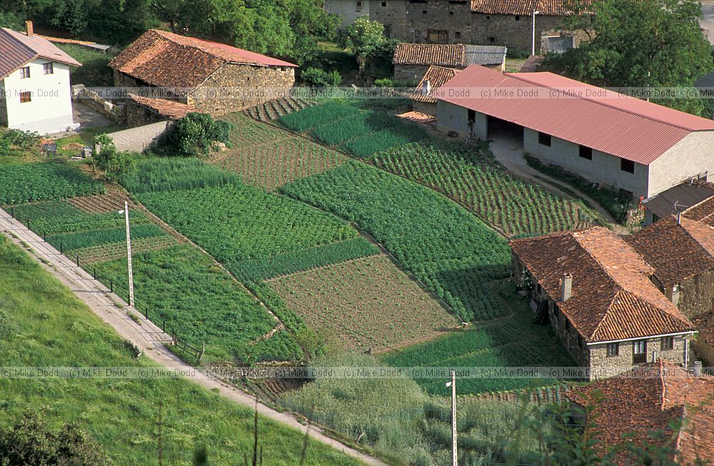 village near San pedro de Boya Picos de Europa