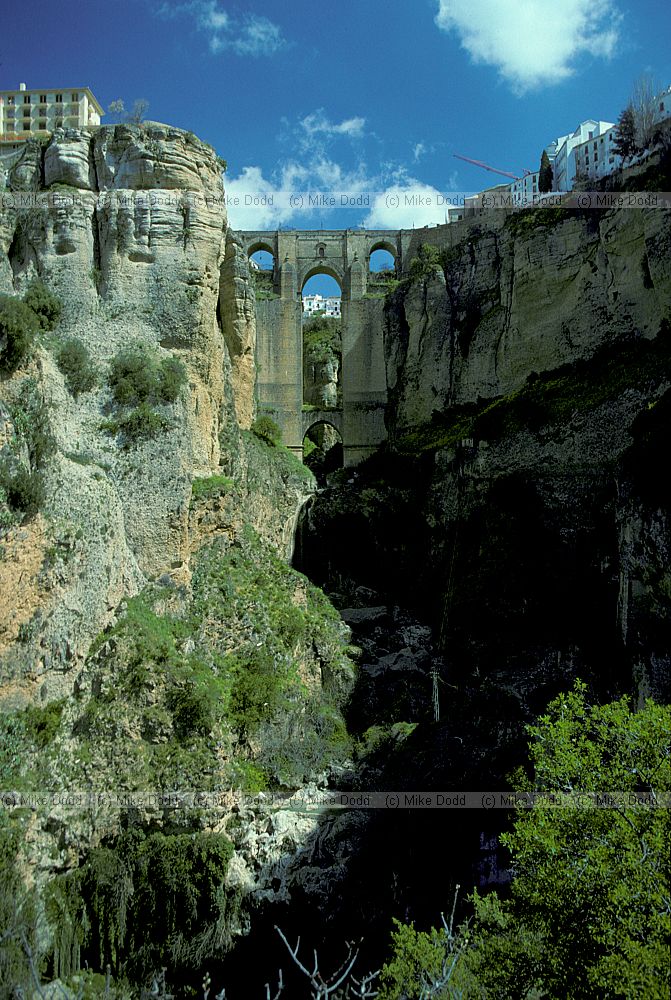Gorge Rhonda Andalucia