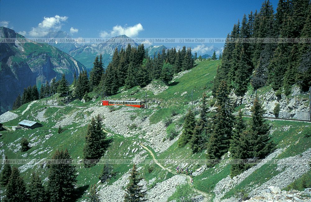 Schynige Platte Railway mountains and forest