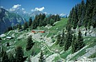 Schynige Platte Railway mountains and forest