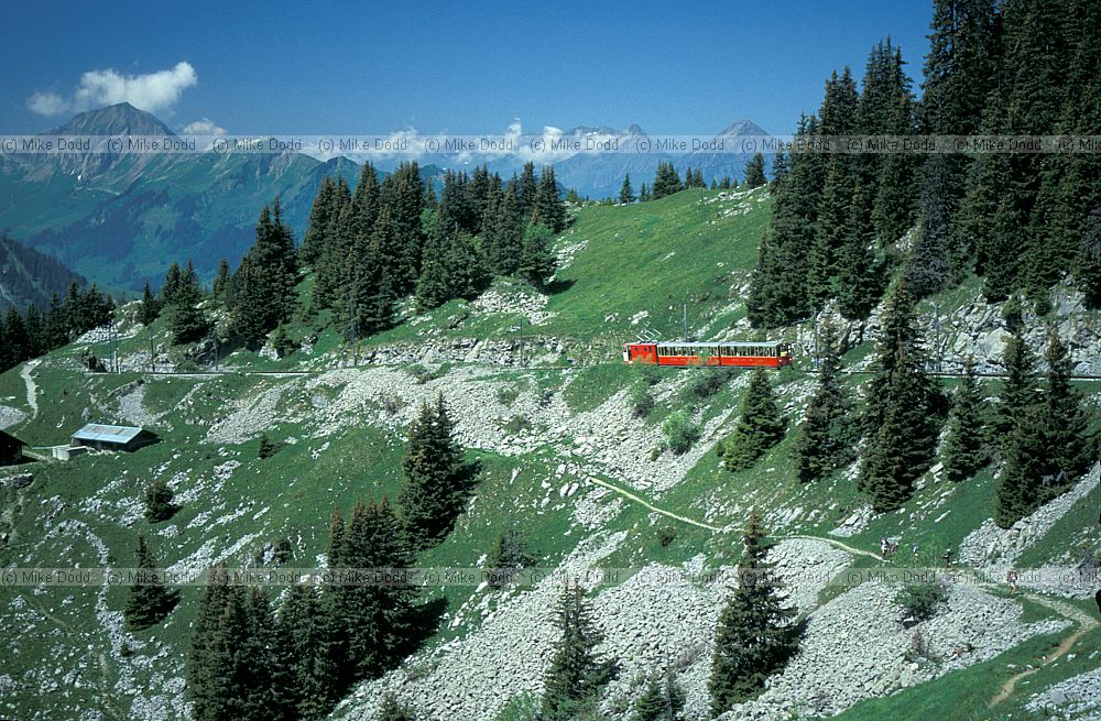 Schynige Platte Railway mountains and forest