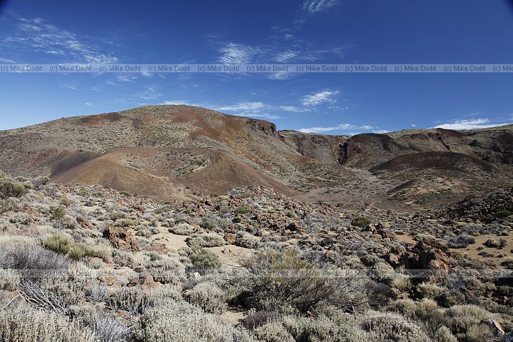 Cinder cone Teide national park