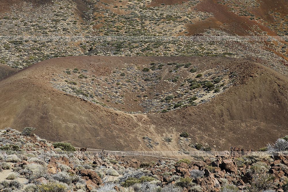Cinder cone Teide national park