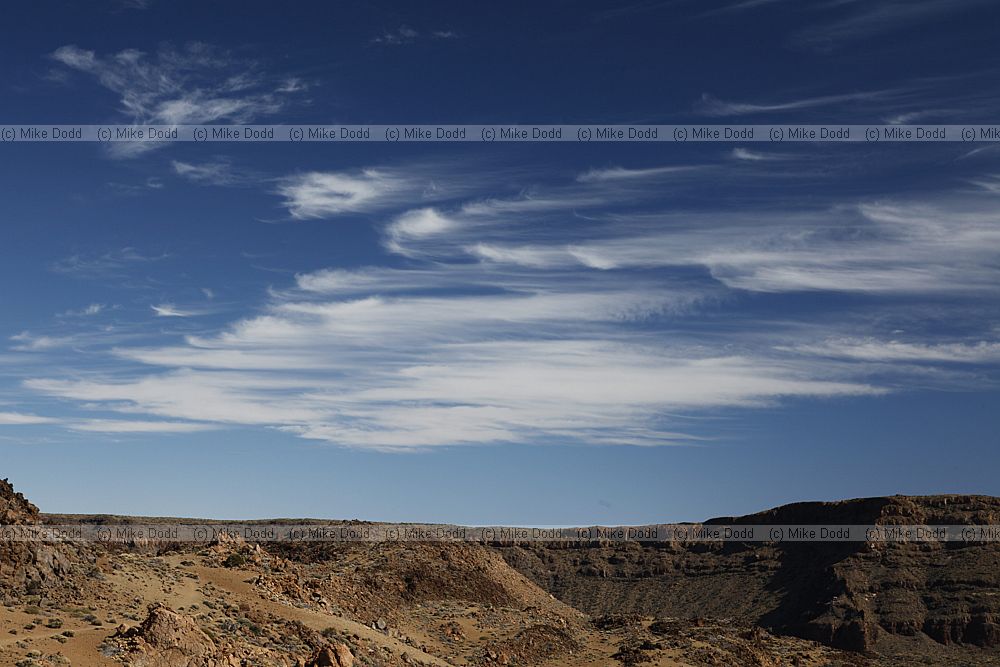 Cirrus clouds