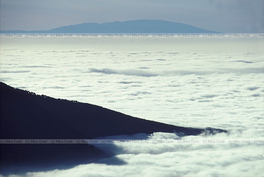 Cloud sea Valle de la Orotava