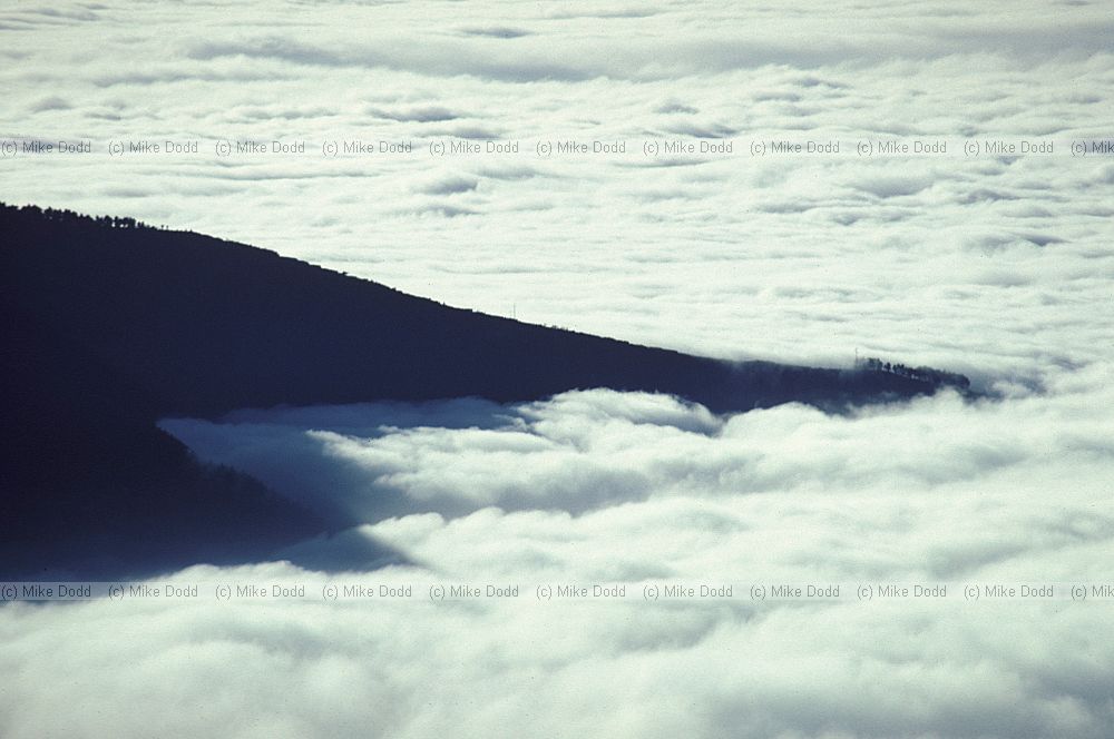 Cloud sea Valle de la Orotava