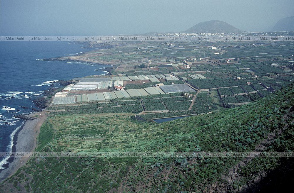 East from El fraile de Teno