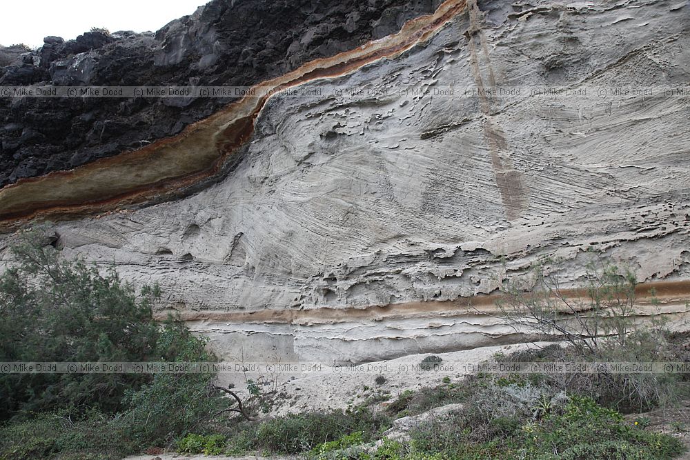 Fossil dune Punta Gotera