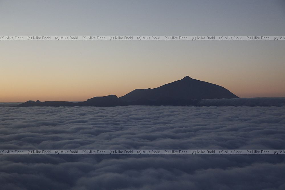 Mount Teide sunset with cloud sea from plane
