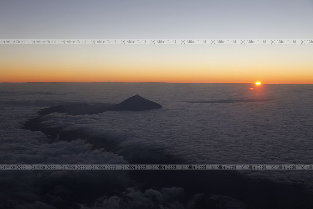 Mount Teide sunset with cloud sea from plane