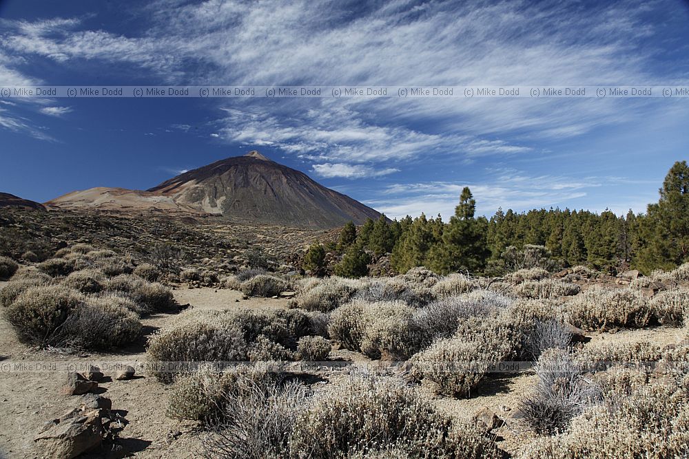 Mount Teide volcano