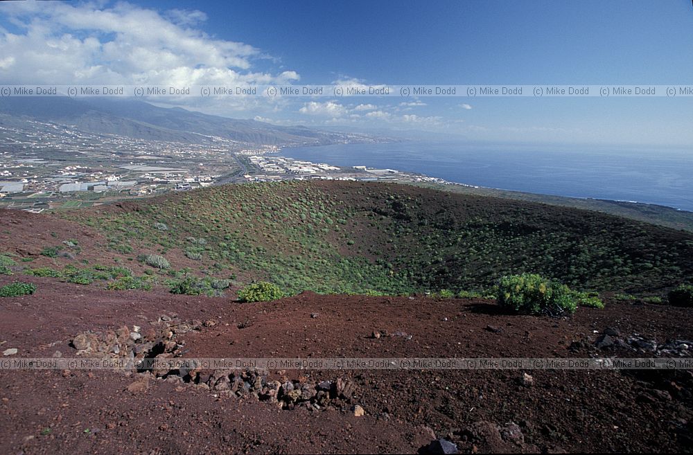 Guimar volcanic cone