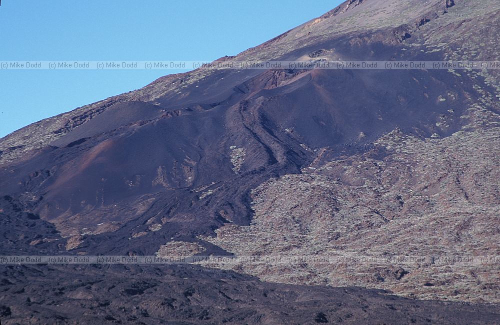 recent larva flow las narcies del teide