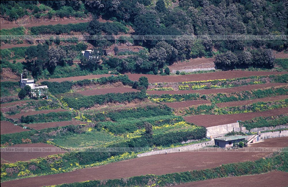 Terraces Anaga