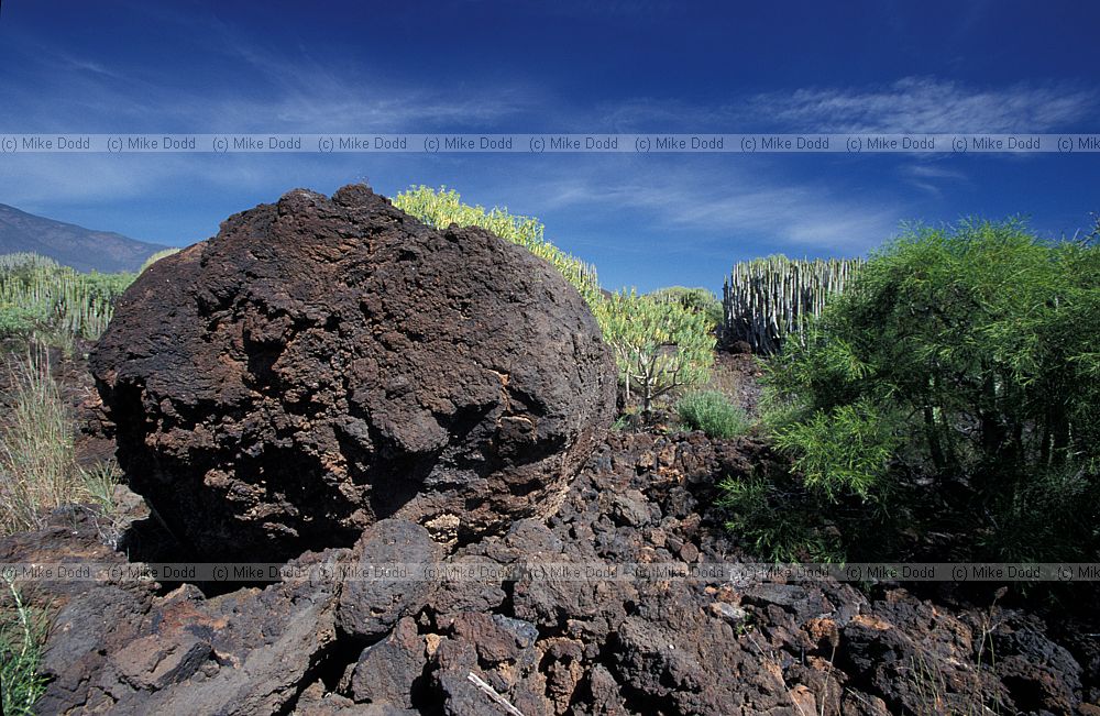 volcanic bomb