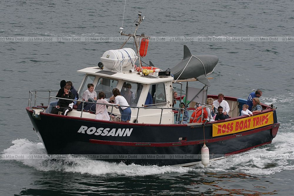 boat trip boat with shark Brighton