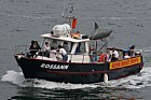 boat trip boat with shark Brighton