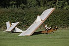 Eon Primary SG.38 Glider, AQQ