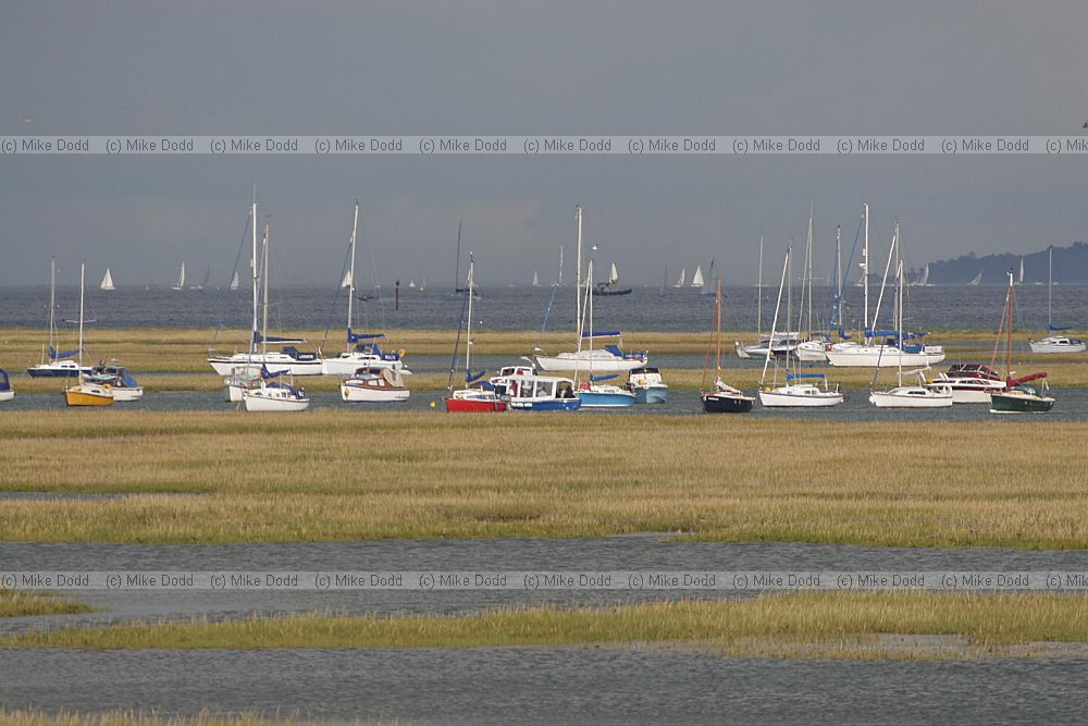 Keyhaven marsh