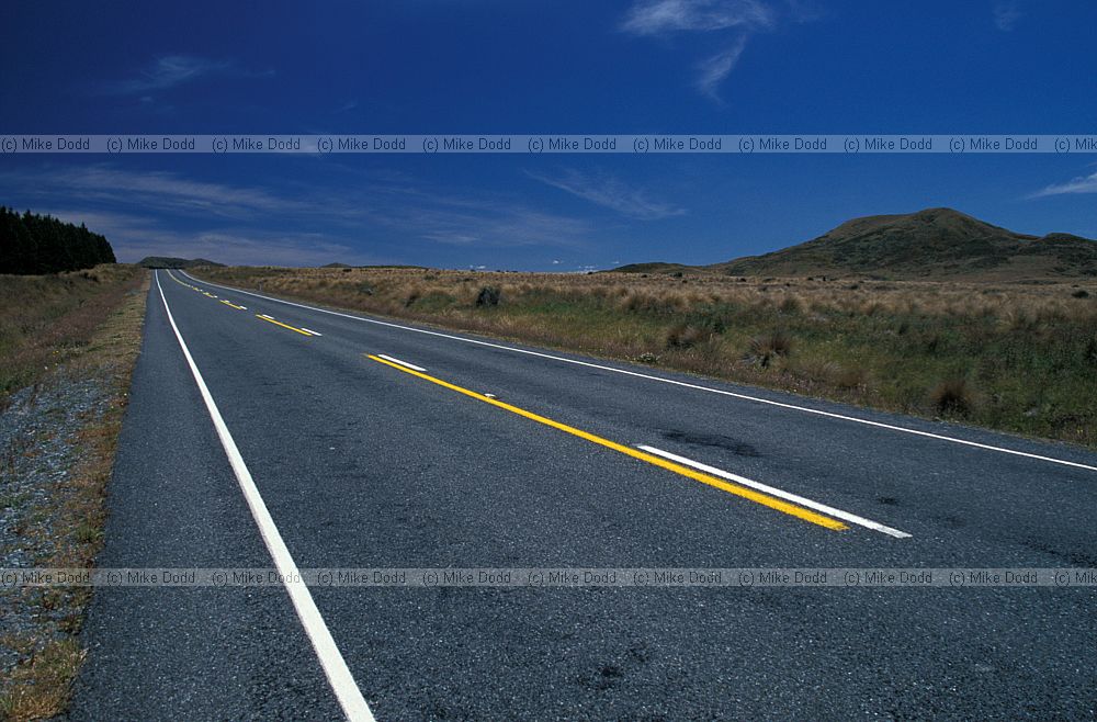 Empty road near Te Anau South Island