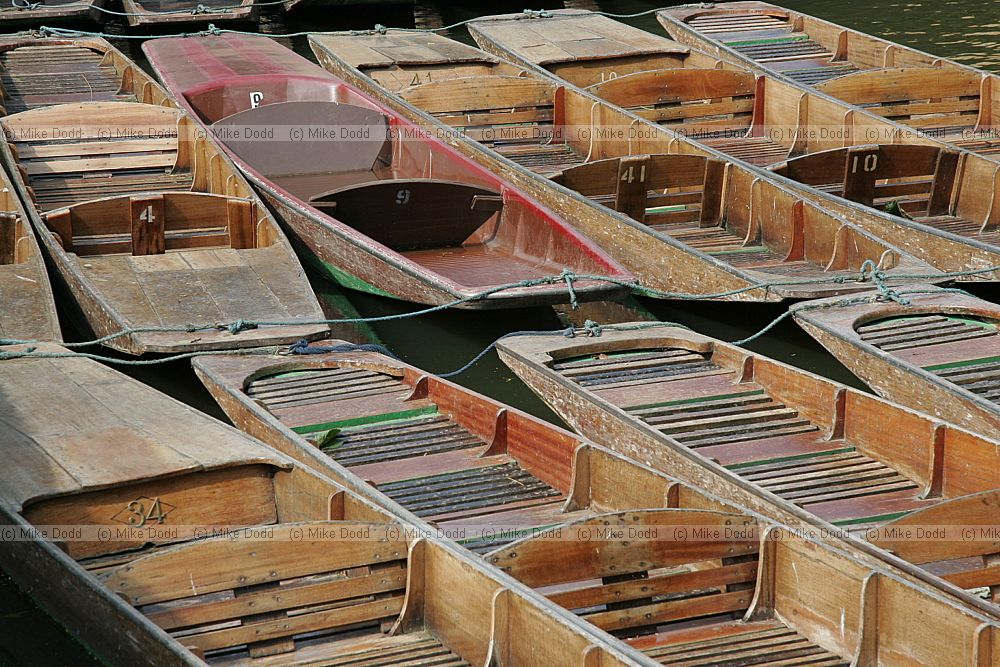 Punts tied up beside Oxford botanic garden