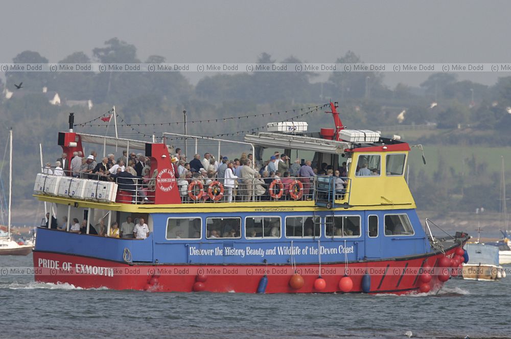 Wildlife trip boat exe estuary
