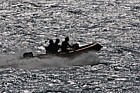 Zodiac rubber boat speeding along against the light dramatic