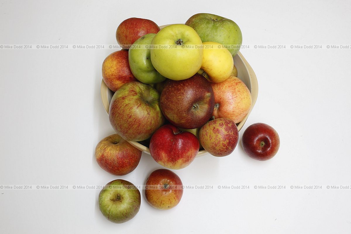 Malus domestica apples