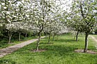 Orchard Woughton on the Green Milton Keynes