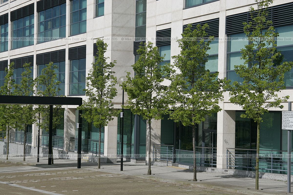 Office building blue sky and trees Avebury boulevard central Milton Keynes