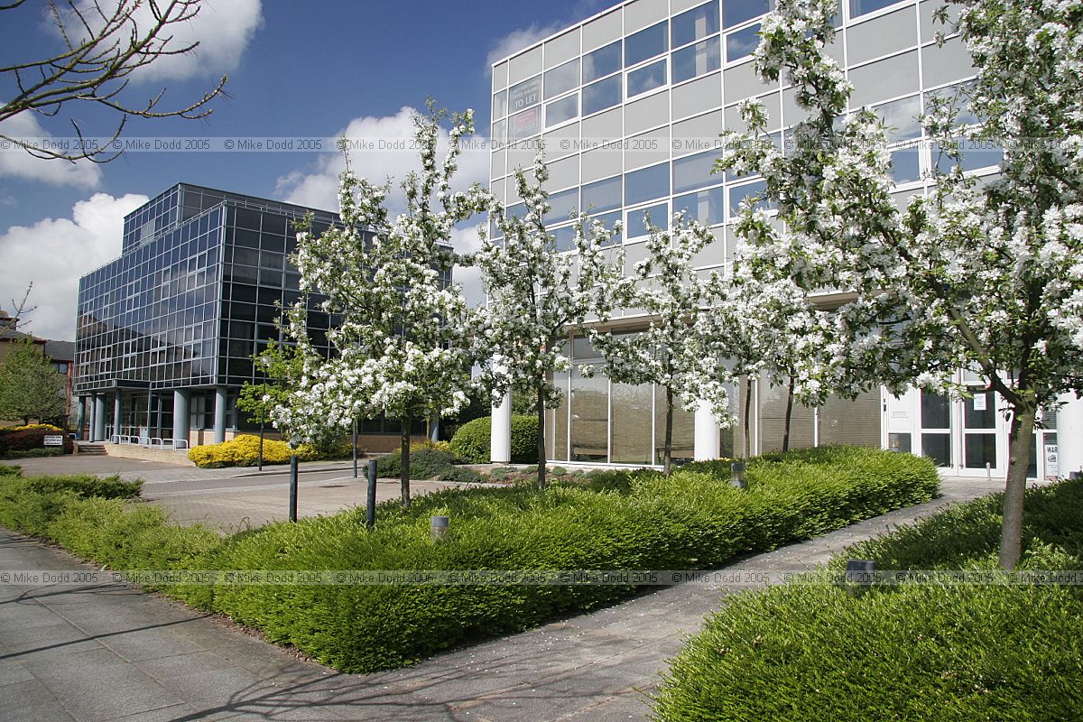Black and white office buildings central Milton Keynes