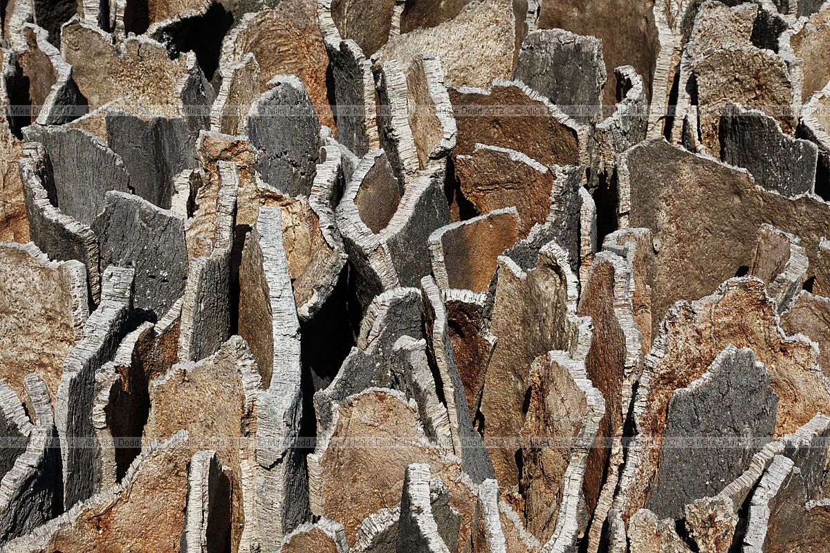 Quercus Cork dome sculpture