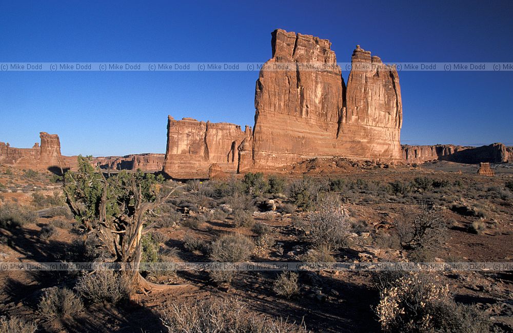 Arches national park Utah Courthouse towers
