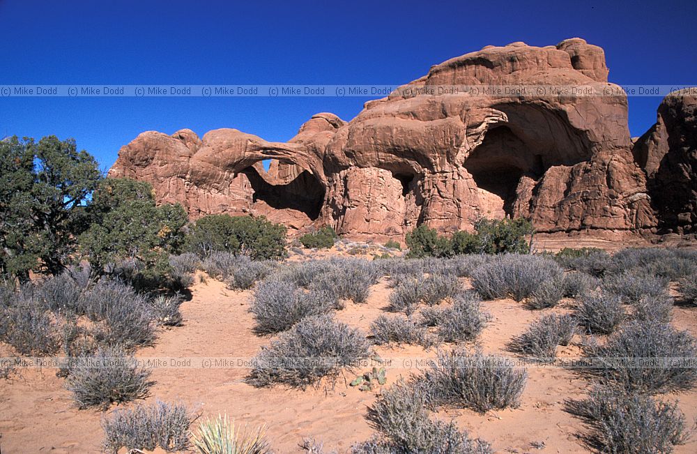 Double arch Arches national park Utah