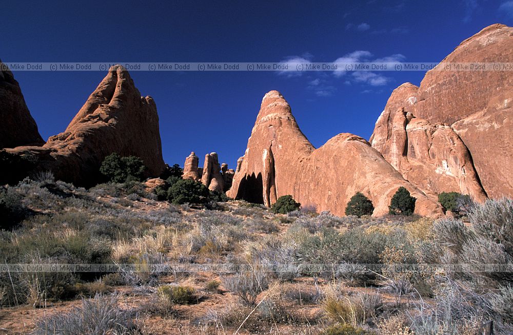 Devil's garden Arches national park Utah