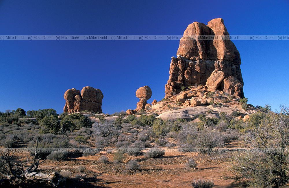 Ballanced rock Arches national park Utah