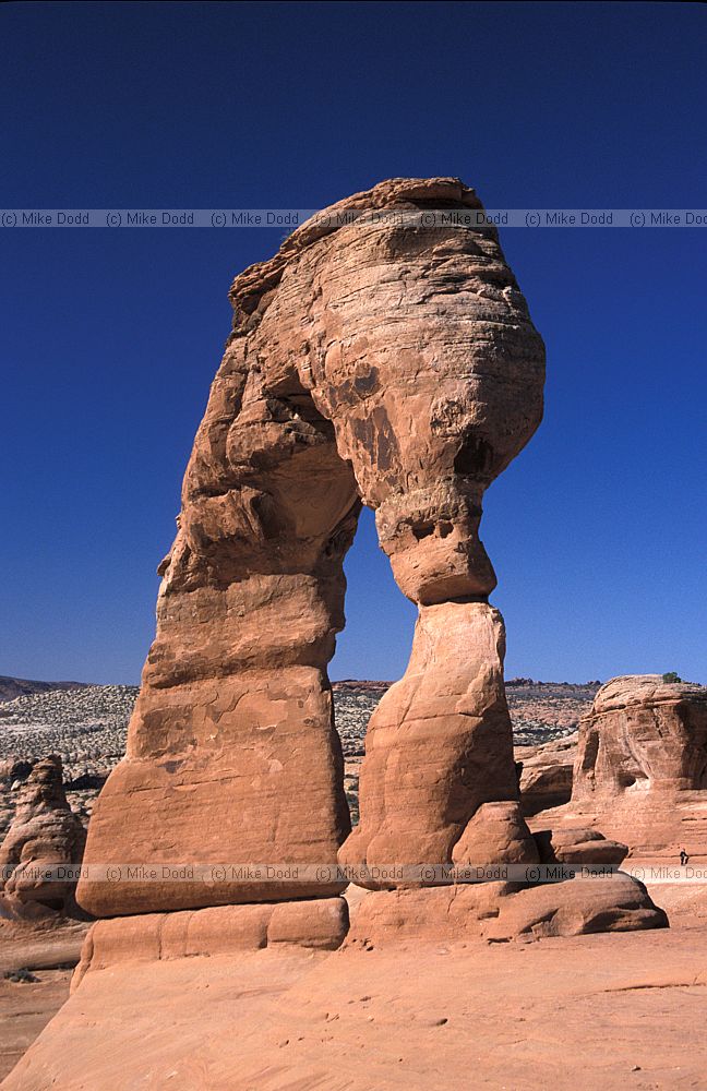 Delicate arch Arches national park Utah