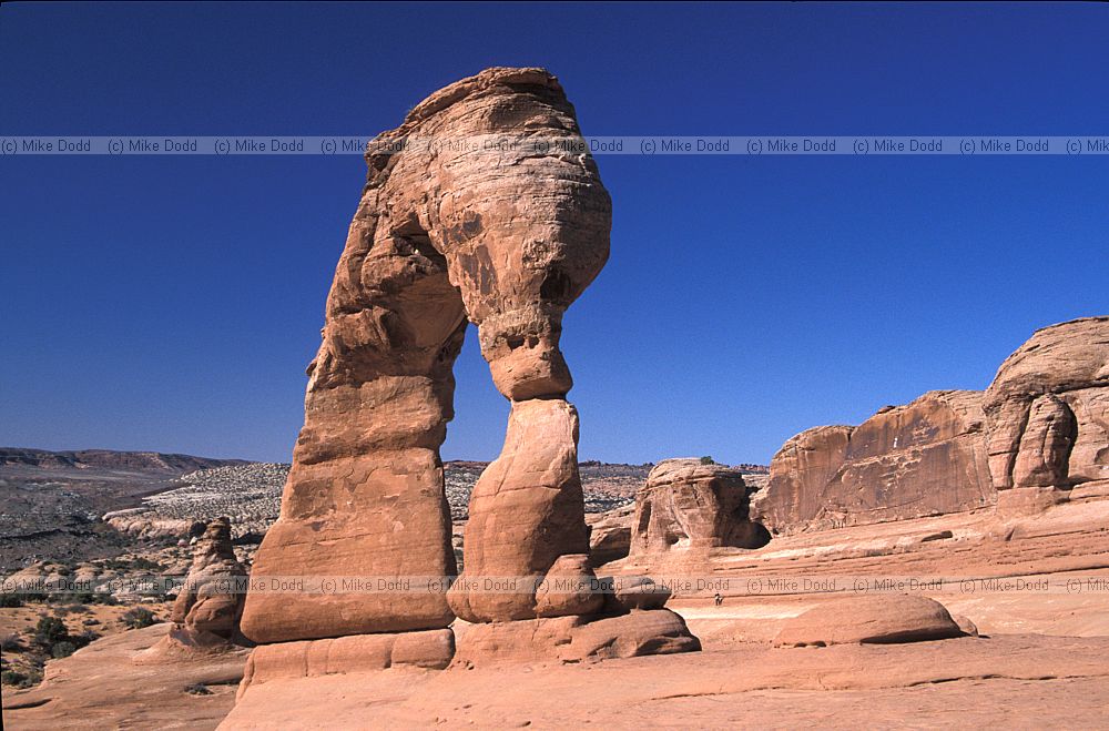 Delicate arch Arches national park Utah