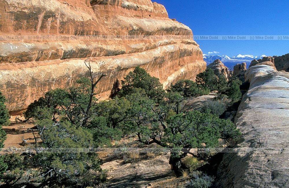 Devil's garden Arches national park Utah