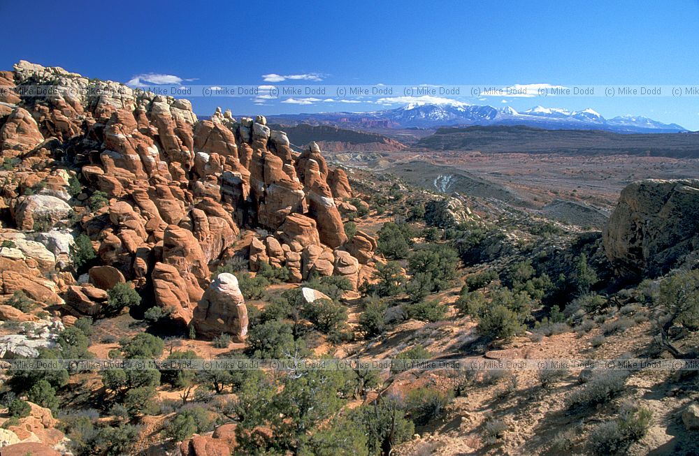 Firey furnace  Arches national park Utah