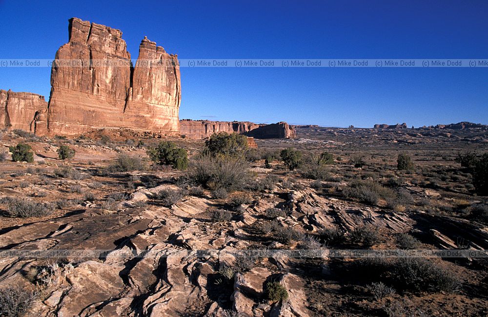 Arches national park Utah Courthouse towers