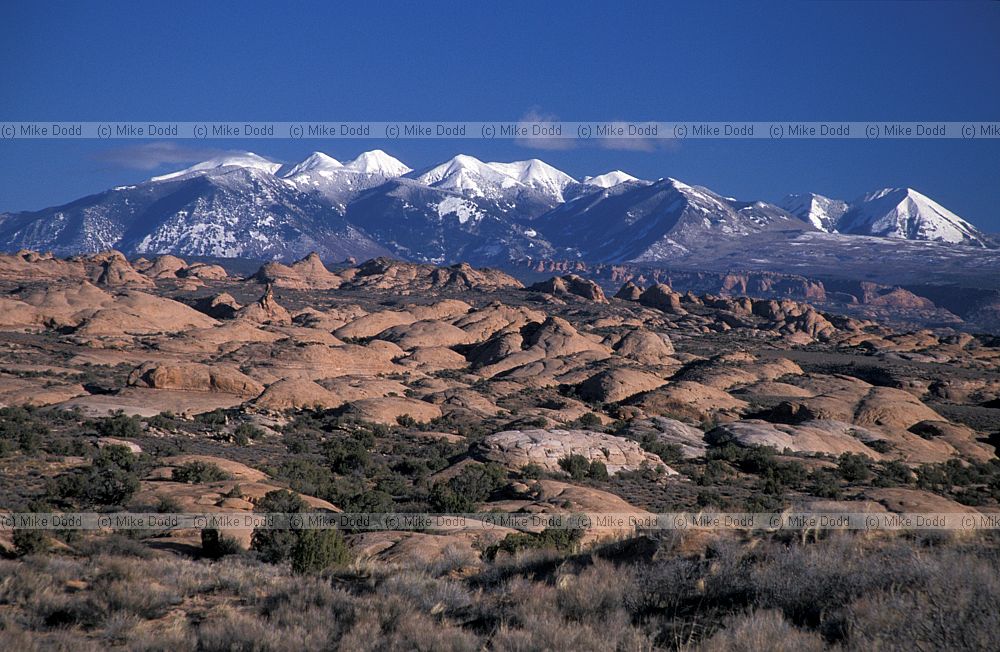 Petrified sand dunes Arches national park Utah