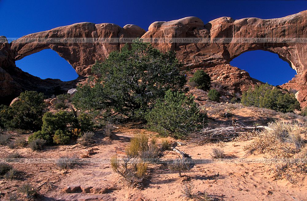 Window arch Arches national park Utah